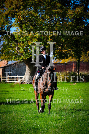 DSC_2810
