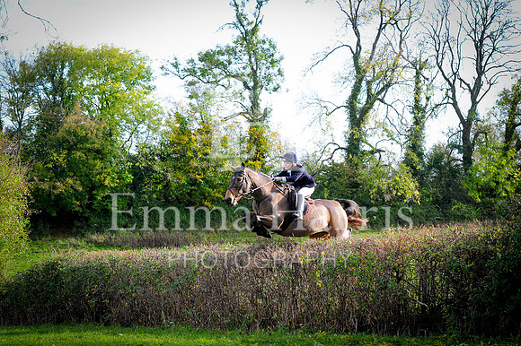 DSC_9089
