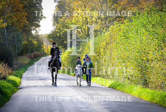 DSC_3546