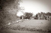 DSC_0014