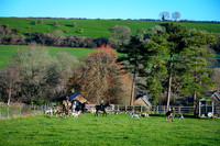 DSC_7101