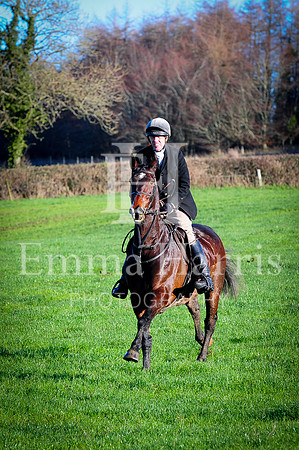 DSC_3685