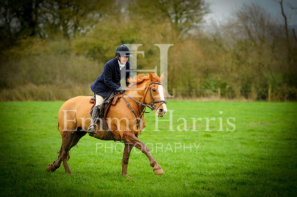 DSC_7926
