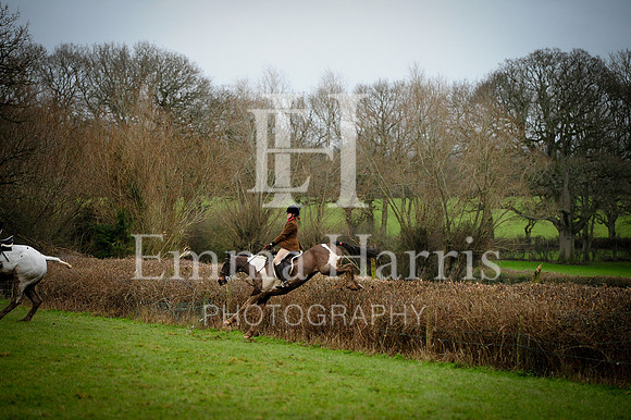 DSC_7576