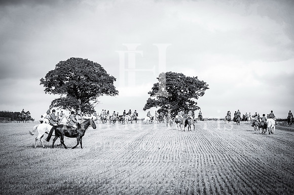 untitled 099
