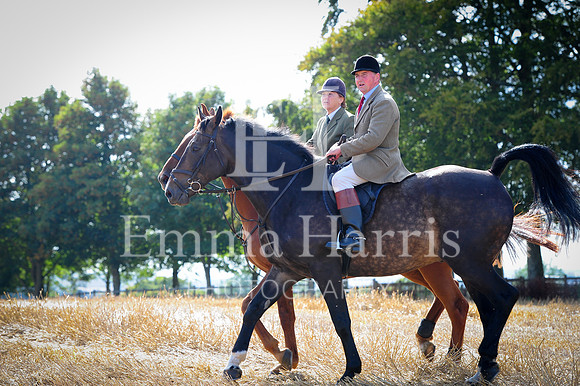 DSC_8995