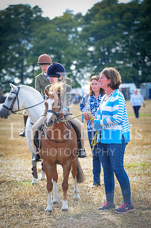 DSC_9127