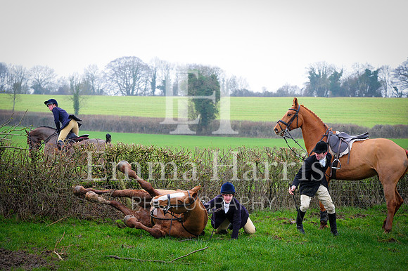 DSC_5215