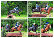 collage1