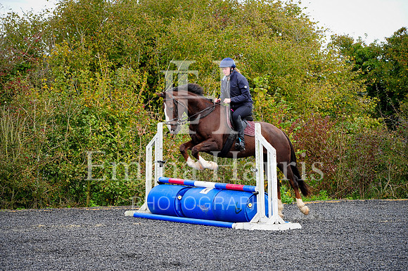 DSC_8247_resize