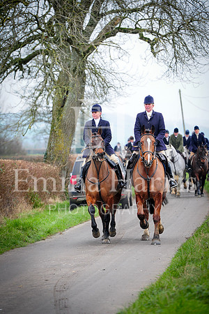 DSC_8390