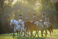 Autumn Hunting Stalbridge Park