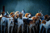 Hunting